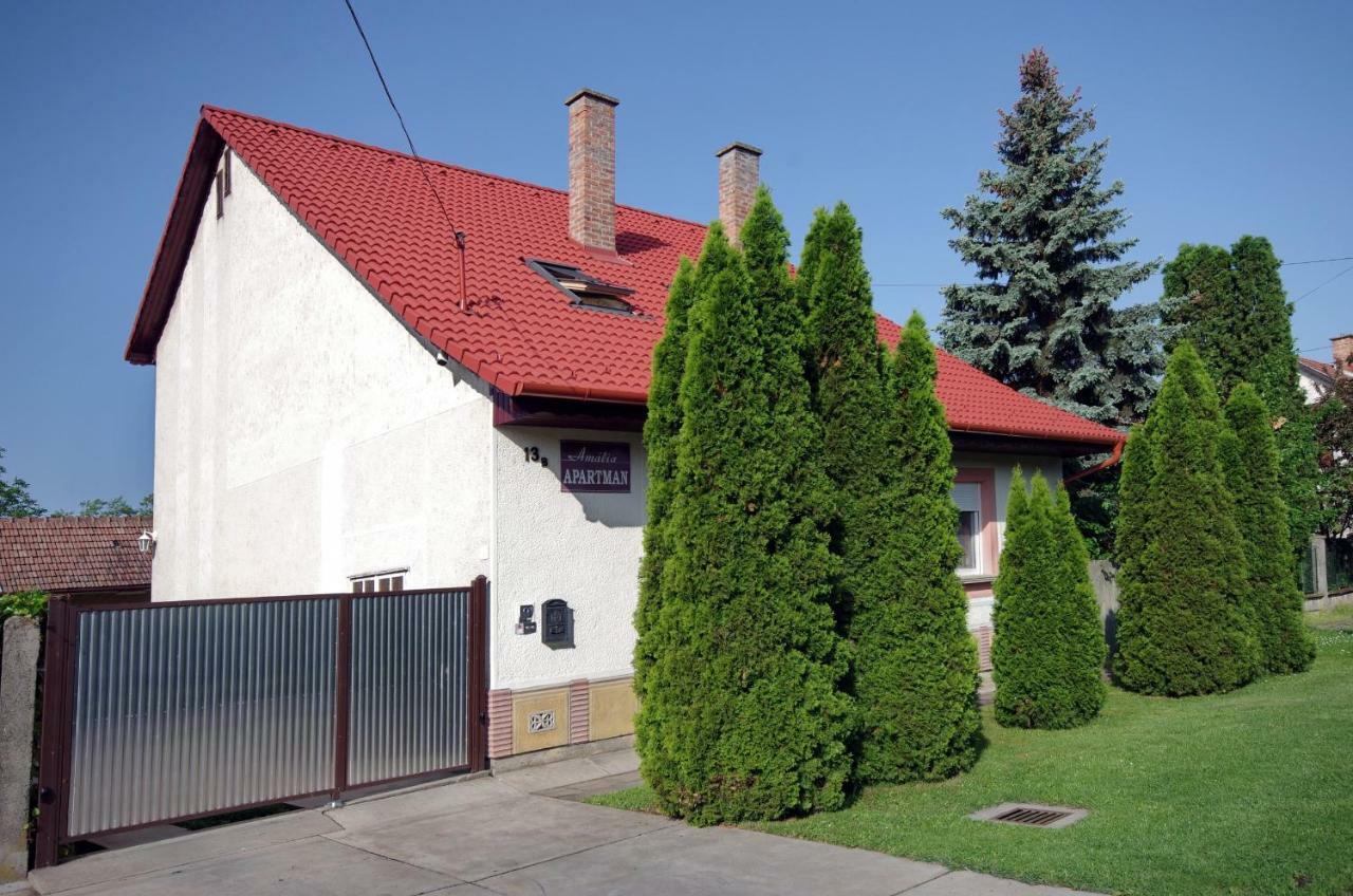 Amália Apartman Gyula Esterno foto