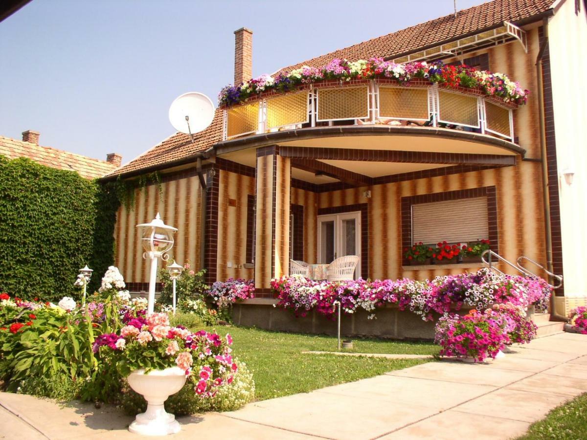 Amália Apartman Gyula Esterno foto