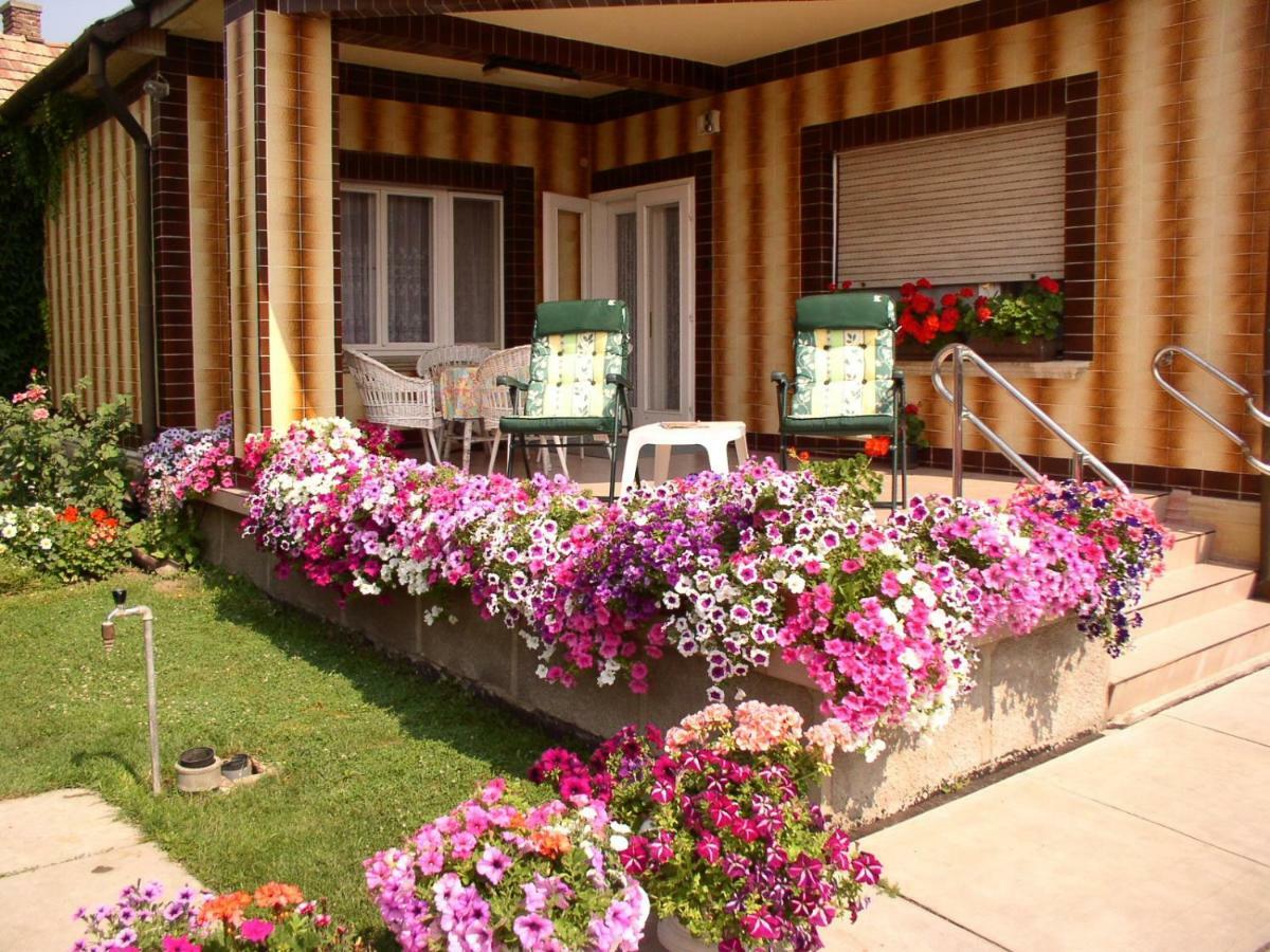 Amália Apartman Gyula Esterno foto